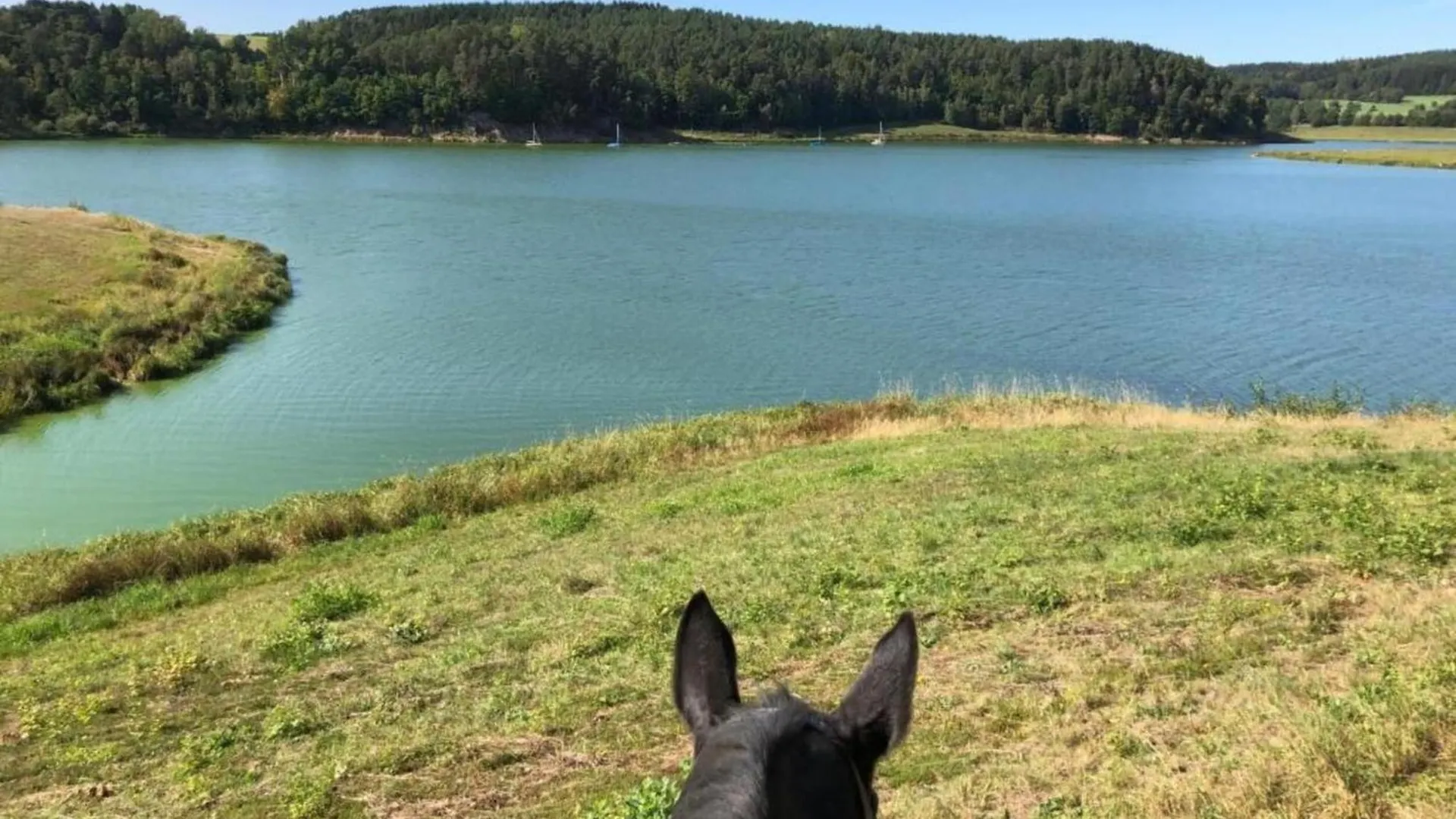 Feriendorf Seeblick - Tiny Chalets Direkt Am See Neunburg vorm Wald